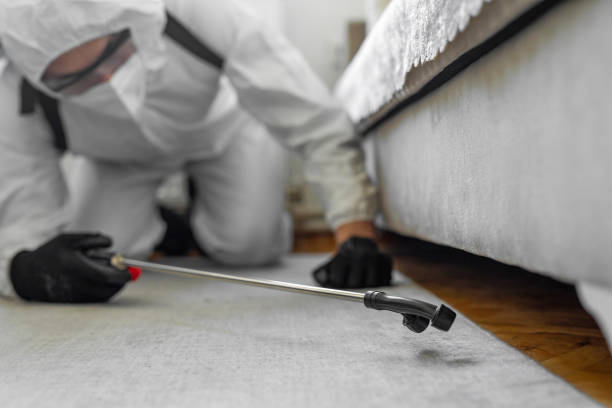 Professional Cockroach Control technician working in Clinton County County, MI